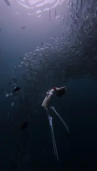 Wyeth Yoshabel Irineo