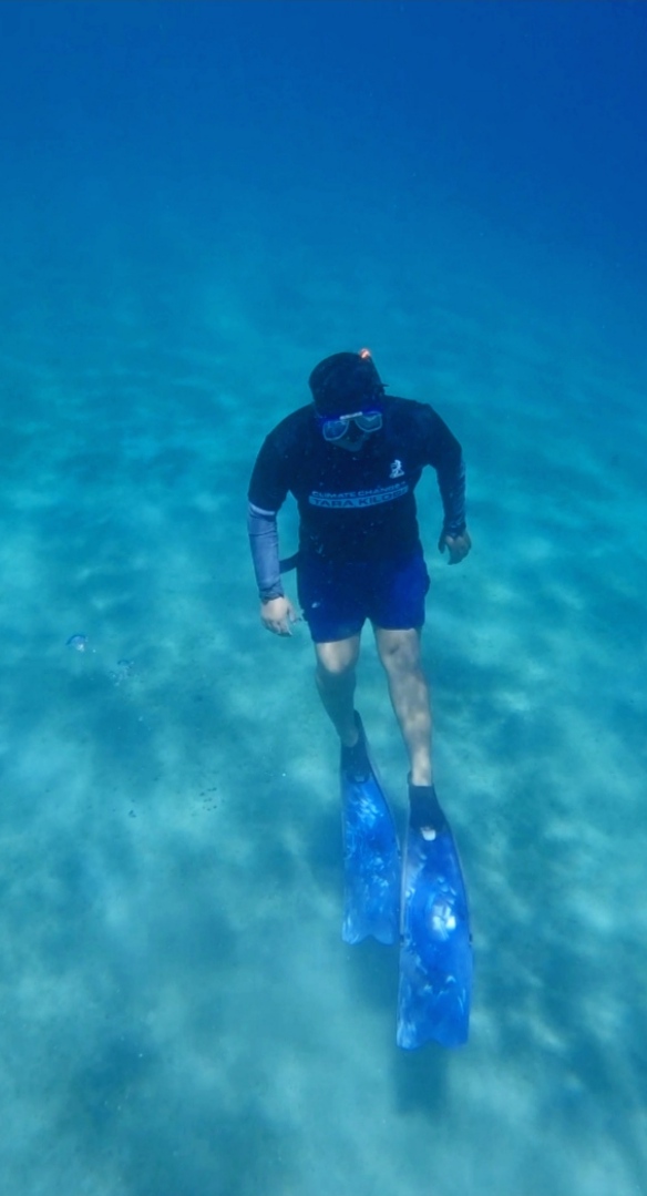 Haziel Joy Ceniza Alea