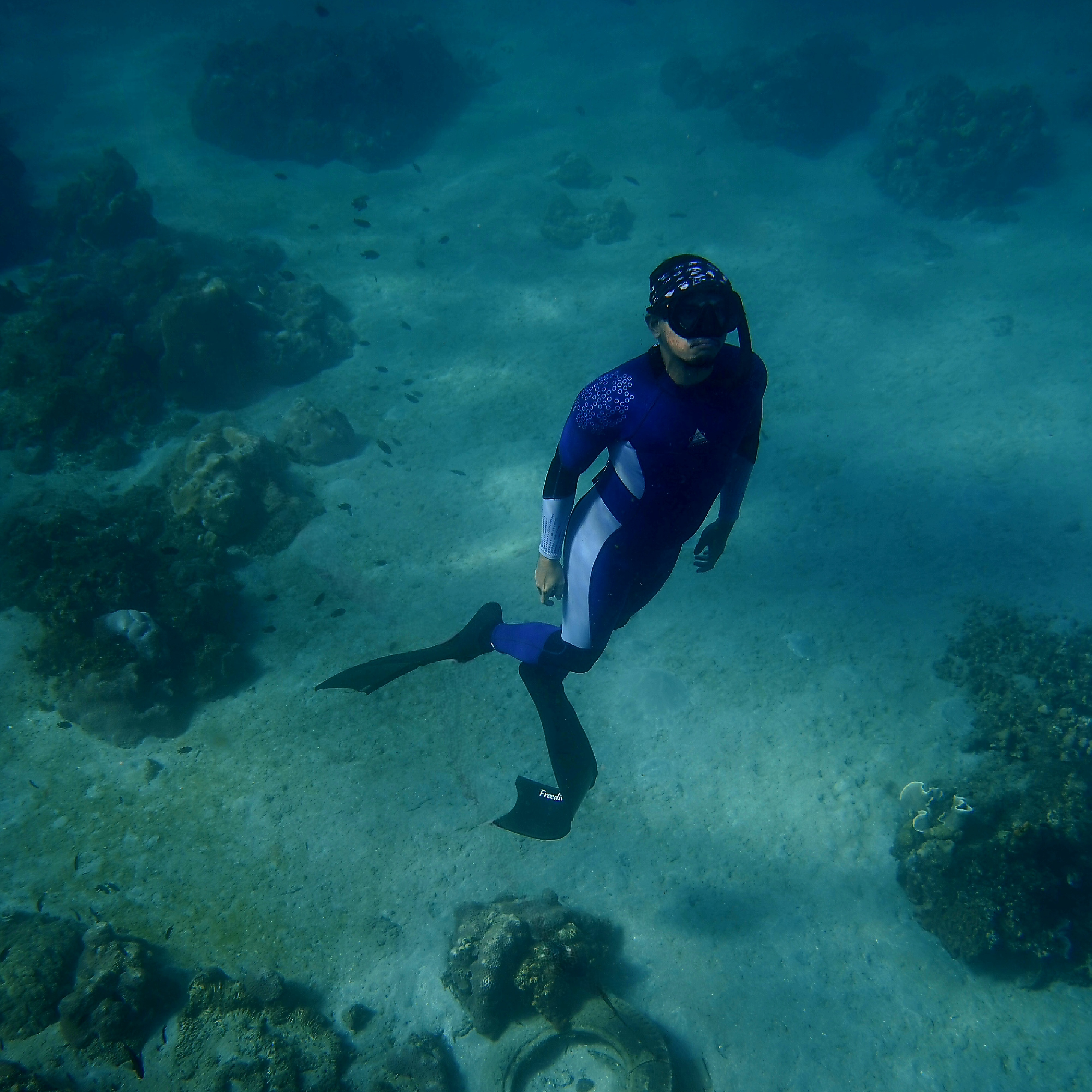 Gil Harris Melendres Villacorte