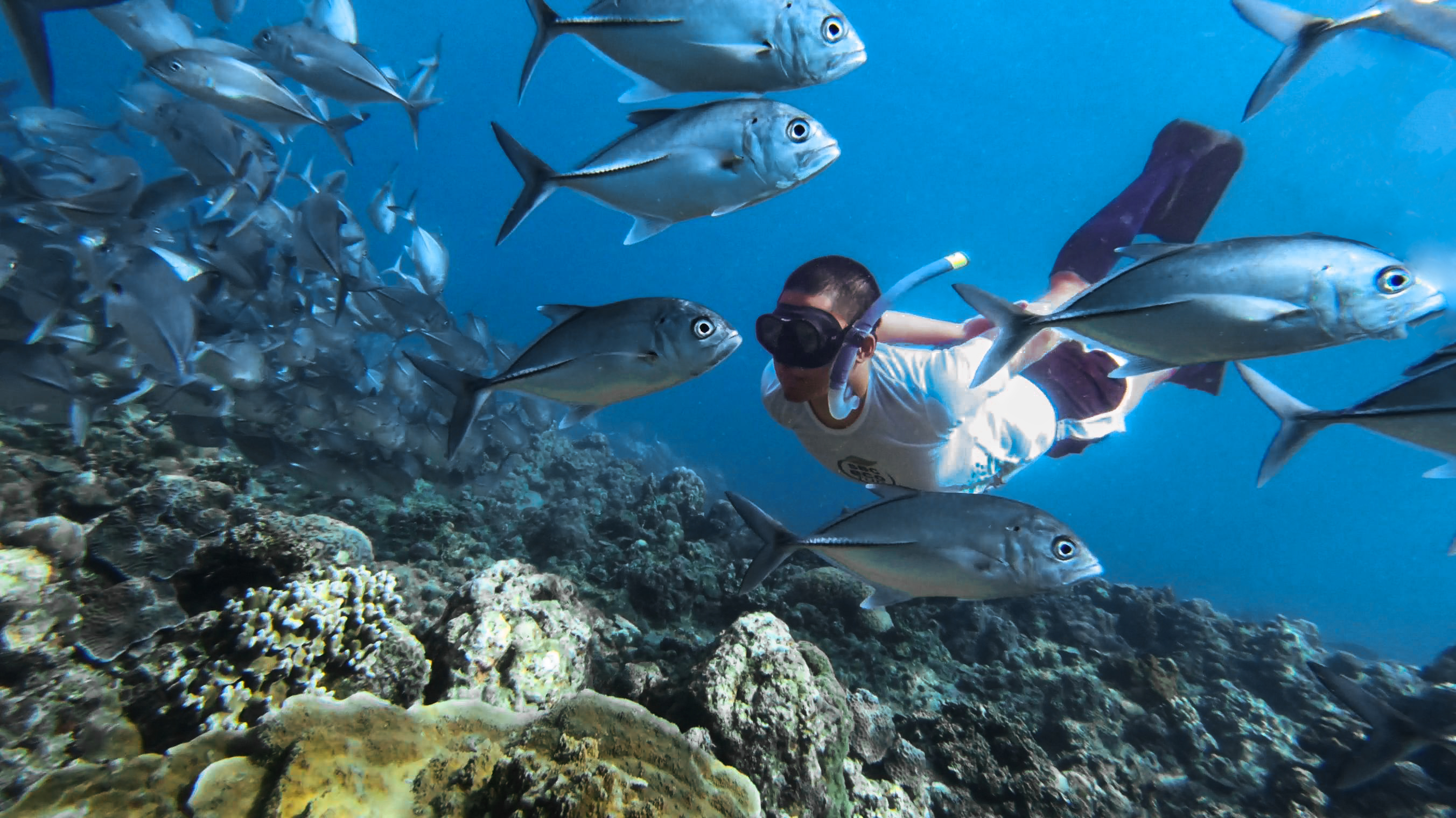 Mayonito Jr Fajarito